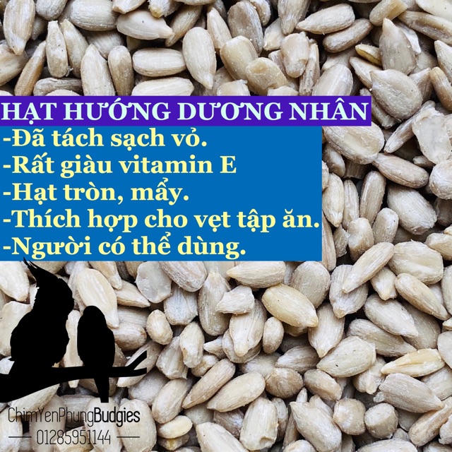 500G | HƯỚNG DƯƠNG NHÂN CHO THÚ CƯNG.