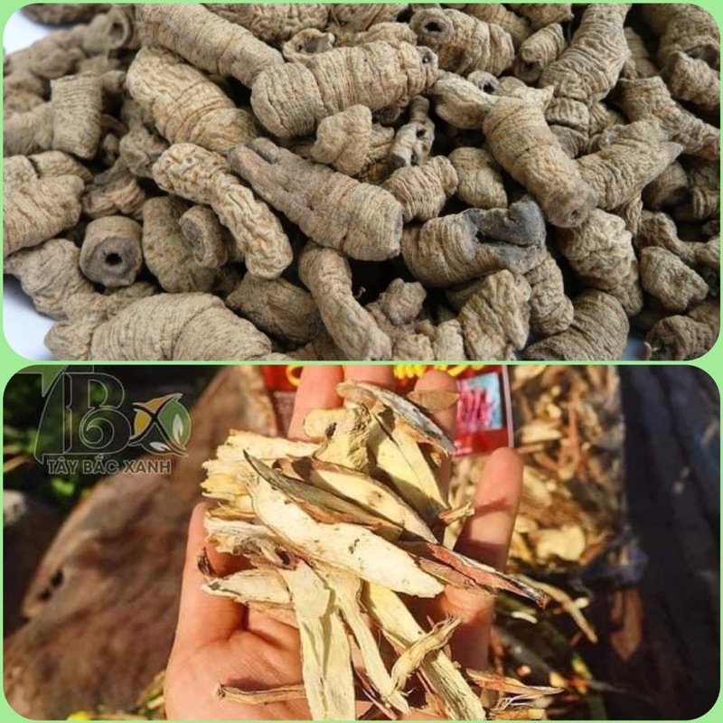Ba kích Tím+Sâm Cau đỏ - Combo ngâm r.ượu cực ngon