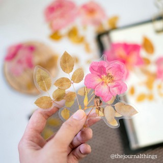 Sticker Ép Lá Trang Trí Sổ Tay