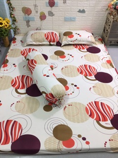 Bộ Drap thun Hàn Quốc size M6 (4 món)