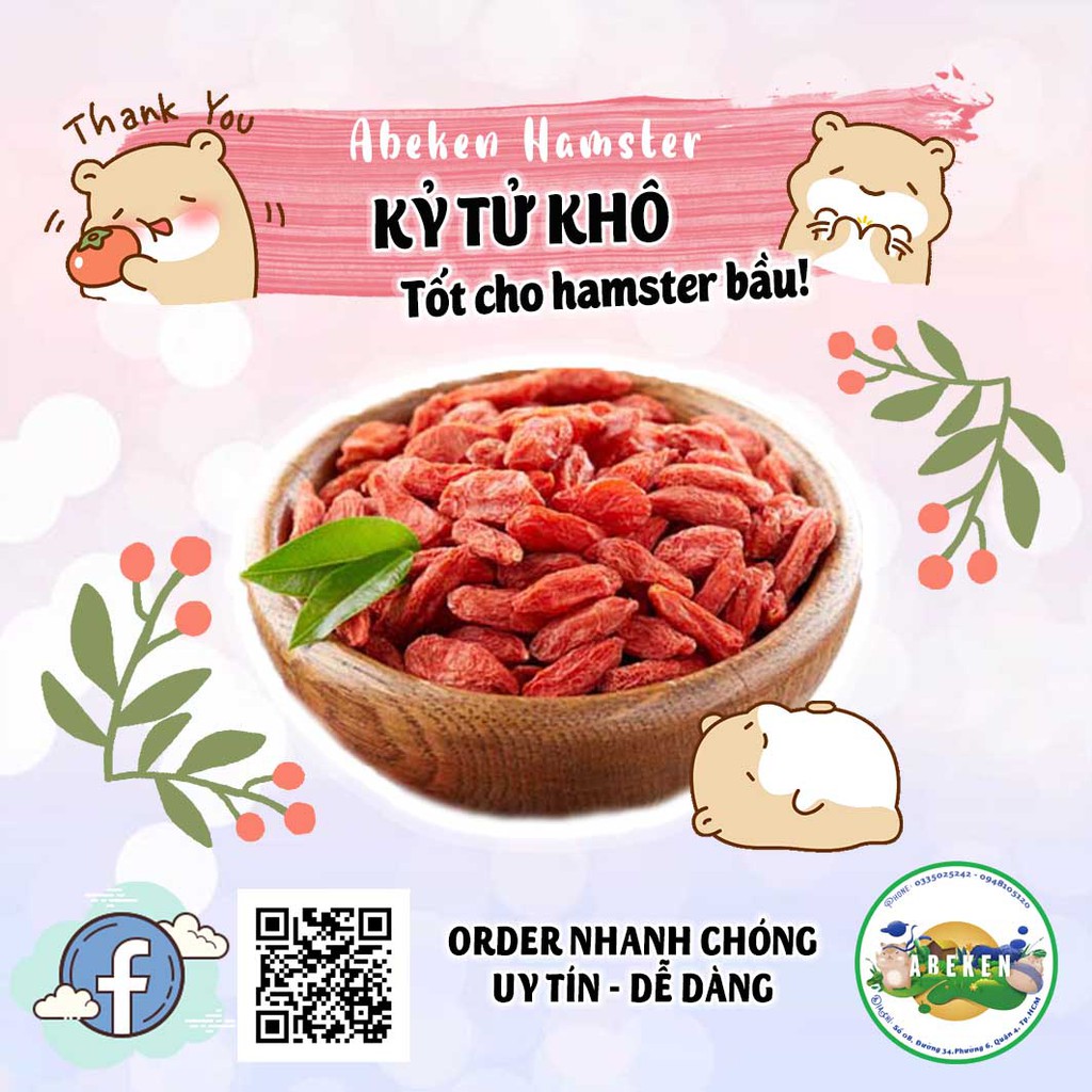 Kỷ tử khô - thức ăn vàng cho hamster