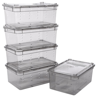 Set 10 Hộp Nhựa Nuôi Bò Sát Chuyên Dụng