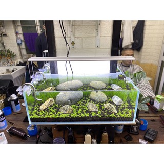 Đá Cuội.Sỏi Cuội