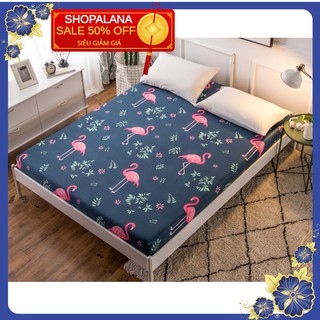 Sỉ bộ ga gối polly cotton 1m6 *2m alana38