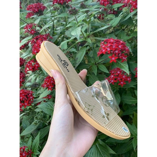 Giày Dép Fashion Xã Lỗ Nhiều Màu.