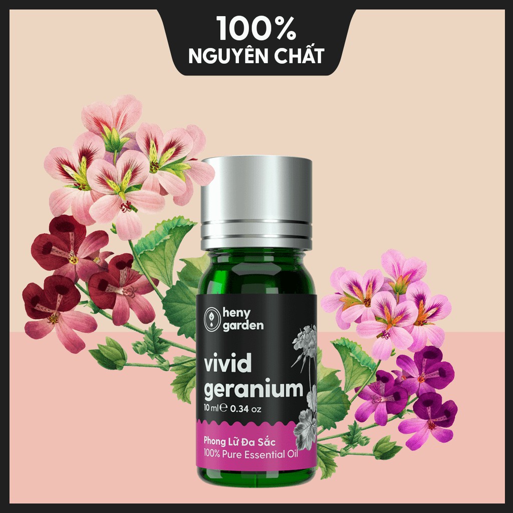 Tinh Dầu Phong Lữ (Hoa The Mát) Organic Thiên Nhiên Nguyên Chất Đậm Đặc Xông Thơm Phòng, Làm Nến Thơm HENY GARDEN