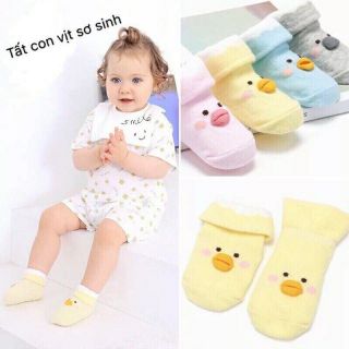Tất hình vịt con siêu kute cho bé 0-6 tháng