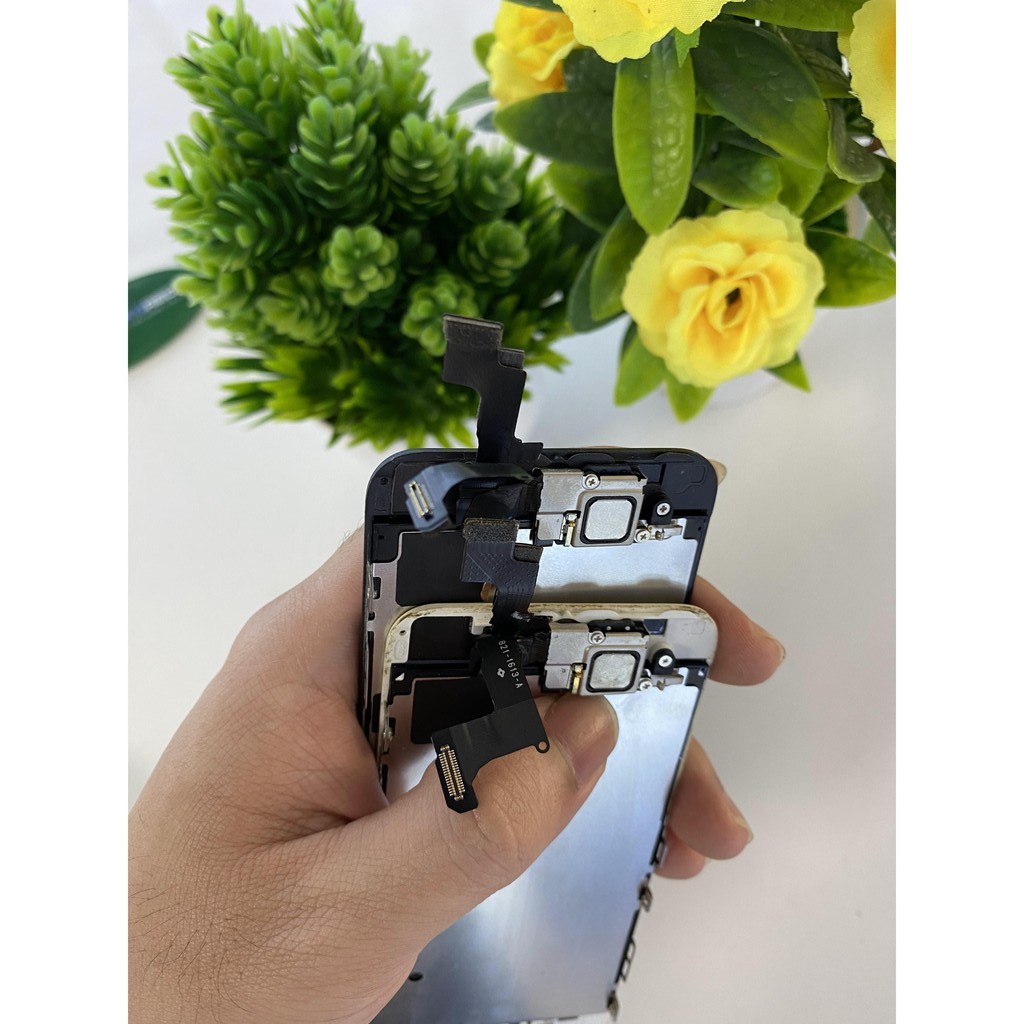 Màn Hình iPhone 5s zin chính hãng Apple | BigBuy360 - bigbuy360.vn