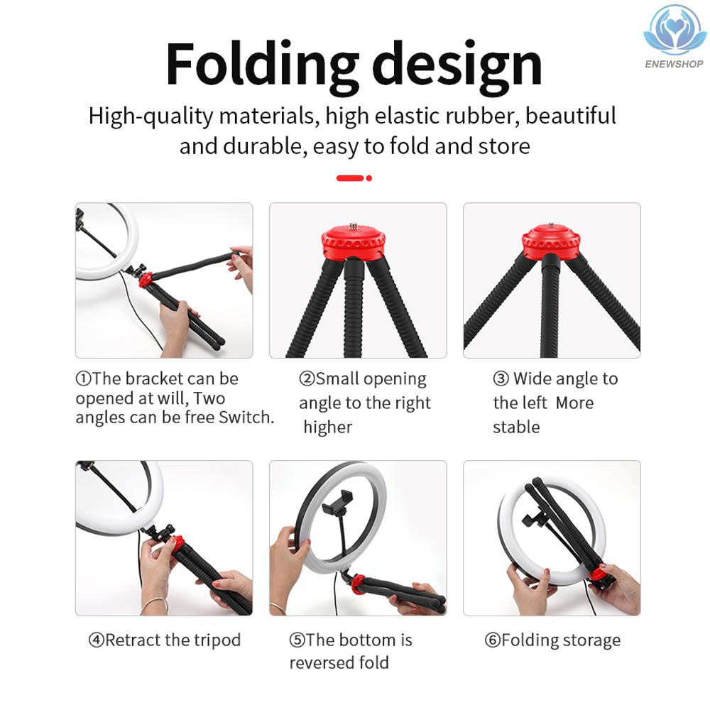 Vòng Đèn Led Ba Màu Thông Minh 10 Inch Kèm Điều Khiển Từ Xa Bt | BigBuy360 - bigbuy360.vn