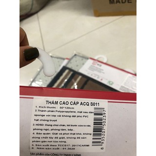 Thảm lau chân cao cấp 50*90cm
