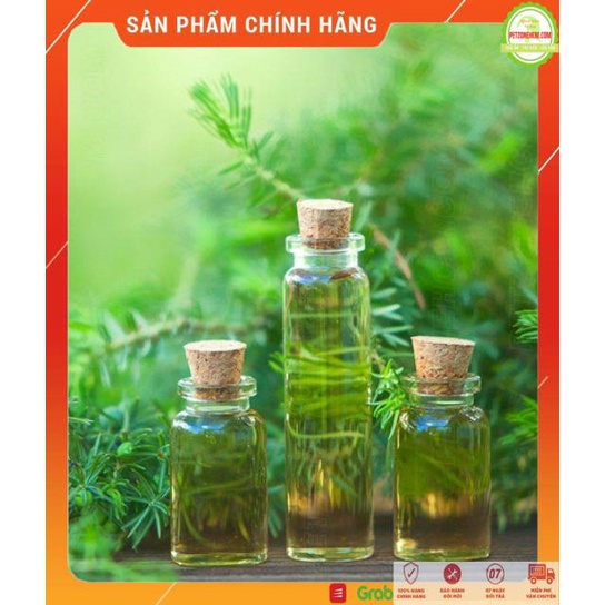 Dầu tràm gió huế FREESHIP  Tinh dầu thơm phòng tràm gió huế 10ml | 50ml | 100ml | nguyên chất