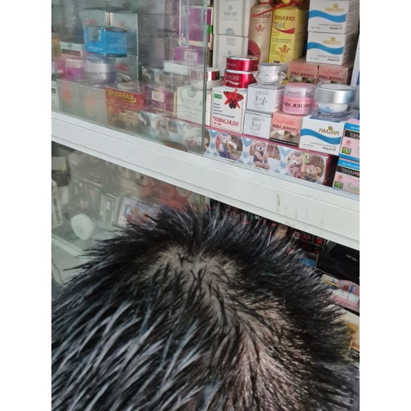 Mousse tạo kiểu BUTTERFLY SHADOW foam mút bọt  Chính Hãng  mùi thơm tinh tế sang trọng giữ nếp lọn tóc uốn xoăn cấp ẩm