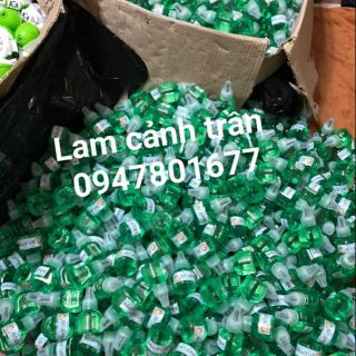 Đèn đuổi muỗi tinh dầu hàn quốc