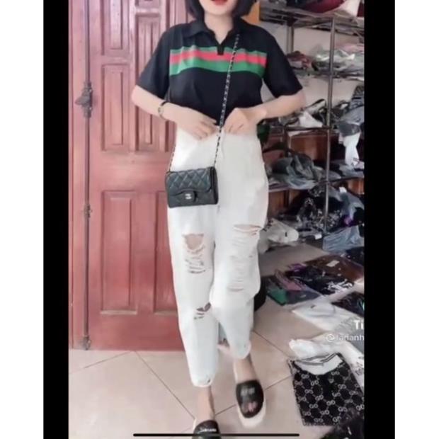 áo thun polo Gucci phối viền áo nam-nữ, chất cotton thấm hút mồ hôi cao cấp ⚡ Đẹp