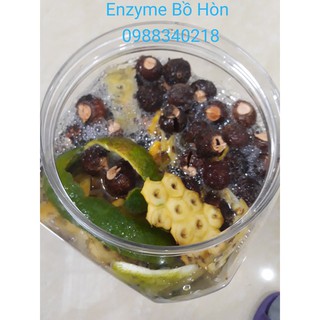 Quả Bồ Hòn