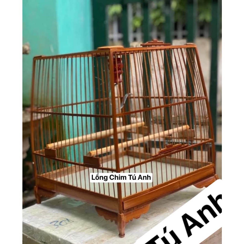 Khung lồng chim chào mào thái đấu, vuống đấu HM trúc già cật vàng đã qua xử lý màu KL02