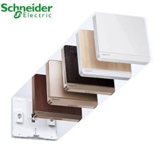 Bộ công tắc 2 cực 20A AvatarOn Schneider