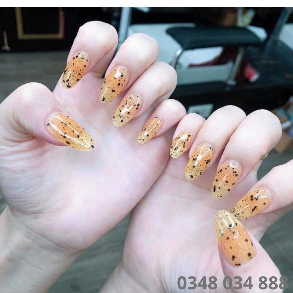 Top trứng cút vinimay chính hãng