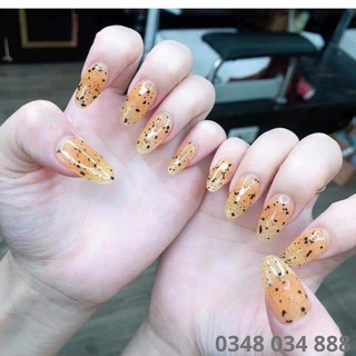 Top trứng cút vinimay