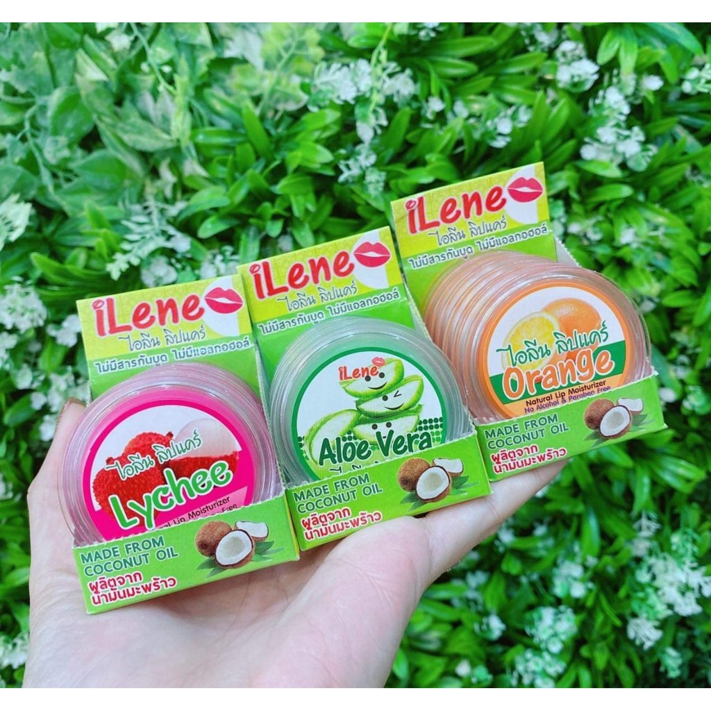 01 Hủ Son Dưỡng Môi Dầu Dừa Hương Trái Cây ILene Lip Care 10gram Thái Lan