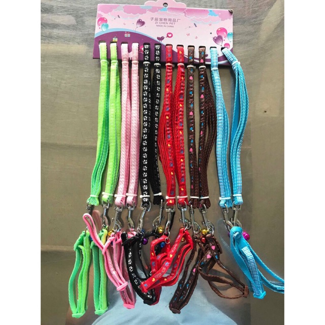 Vòng cổ+ dây dắt