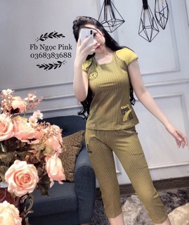 Bộ winny