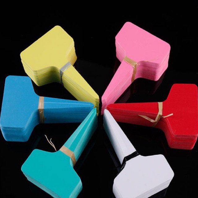 Bảng cấm màu 6x10cm - phụ kiện tranh trí tiểu cảnh terrarium