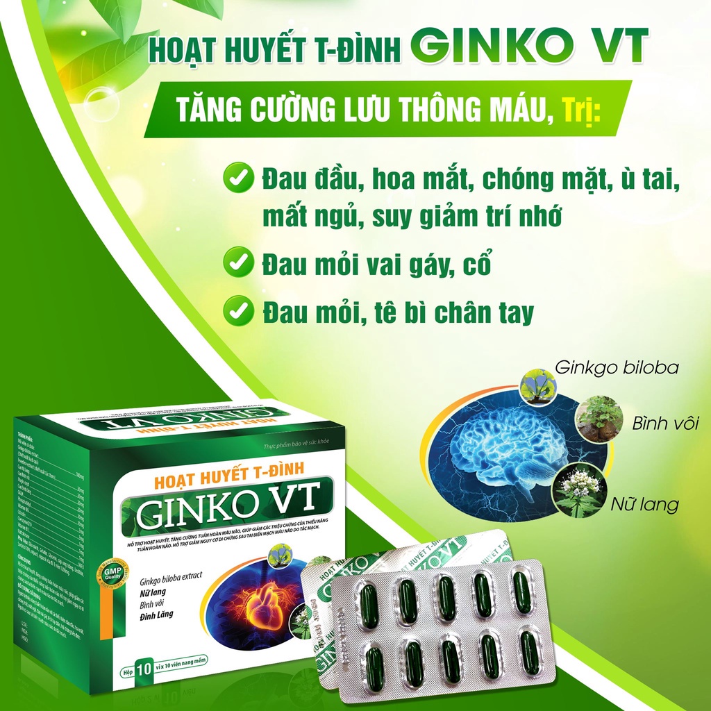 HOẠT HUYẾT T-Đ GINKO VT hộp 100 viên