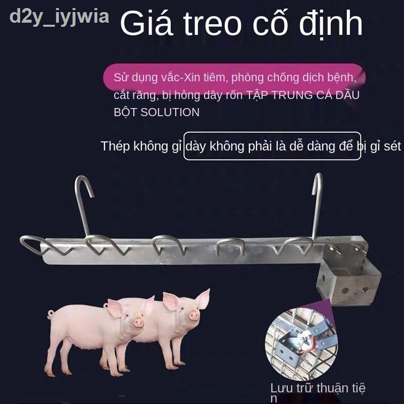 [hàng mới]Dụng cụ treo heo con bú thuốc, nhỏ mũi và cắt răng, giá chích di động