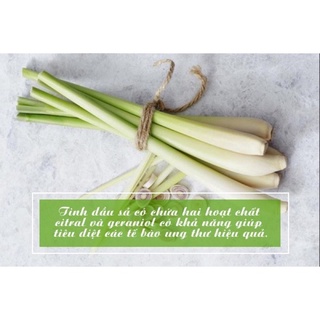sả cây tươi- 1kg- ship hỏa tốc