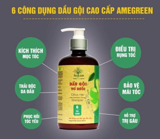 COMBO CHĂM SÓC TÓC TOÀN DIỆN AMEGREEN