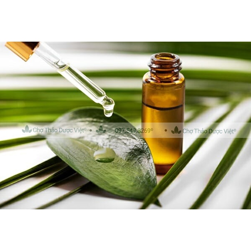 Lọ thủy tinh dựng tinh dầu, chai chiết serum đựng mỹ phẩm, nước hoa - Chợ Thảo Dược Việt