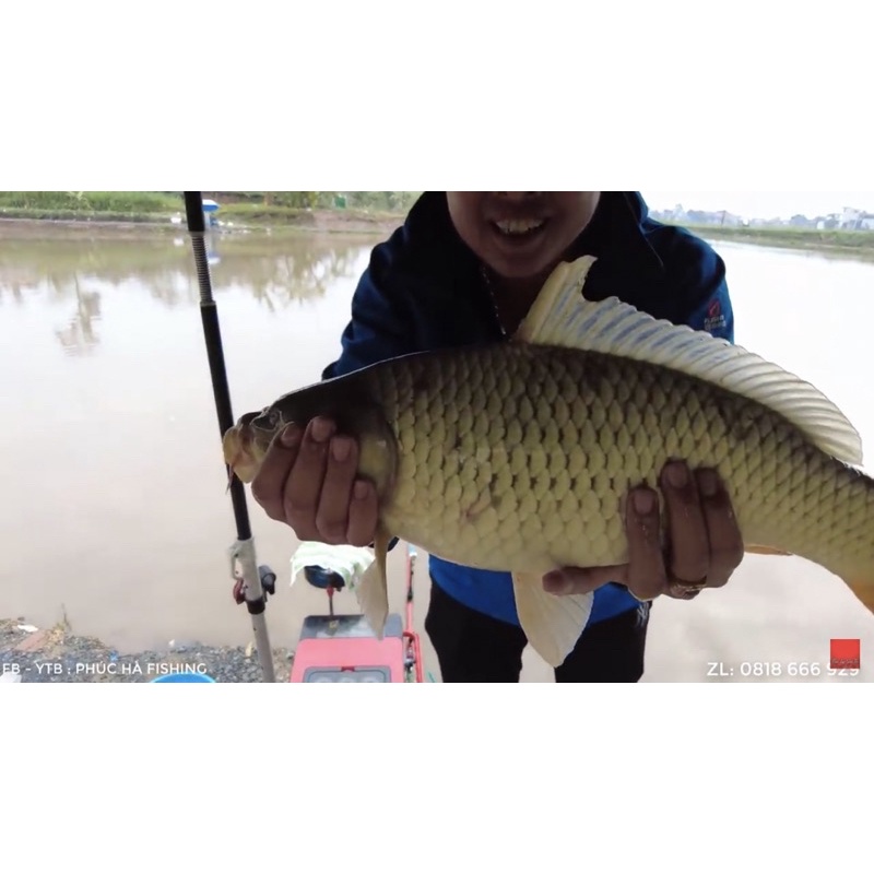 Cốt đường đen Phúc Hà fishing chai 350ml