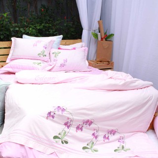 Bộ Ga Bọc Chần Gòn Edena 355
