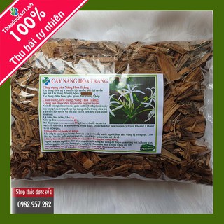 Cây náng hoa trắng giải pháp mới điều trị u xơ tiền liệt tuyến -1KG SP CTY Thảo Dược Số 1
