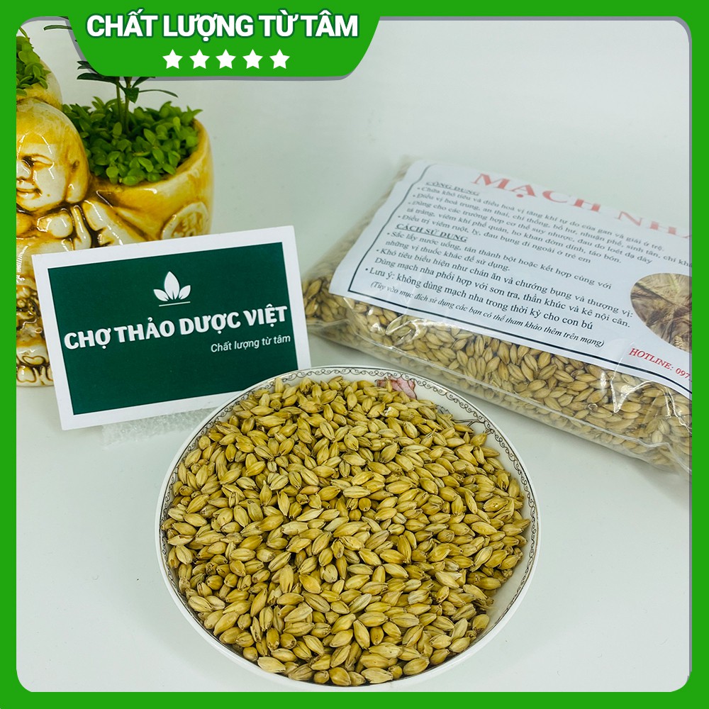 Mạch nha khô 100g  - Chợ Thảo Dược Việt