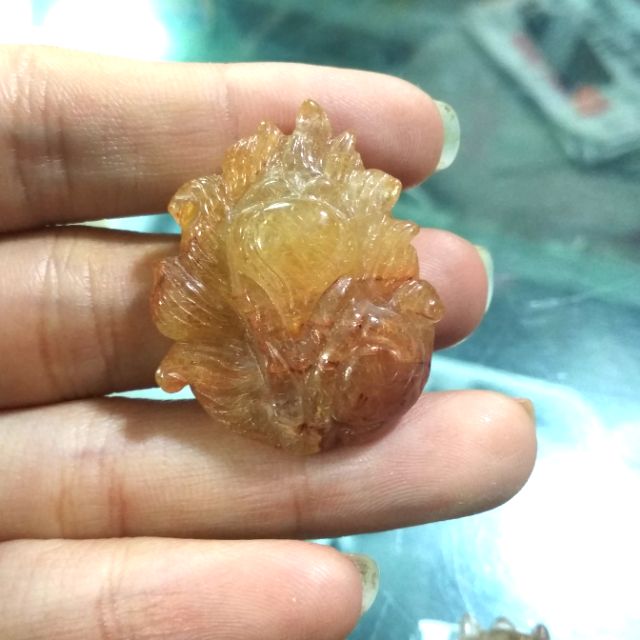 Hồ ly đuôi chúa