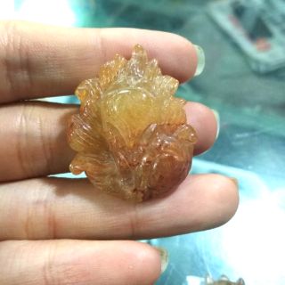 Hồ ly đuôi chúa