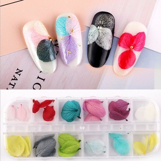 Hoa khô nail , hoa khô trang trí móng