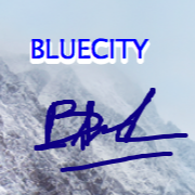 Bluecity Shop 