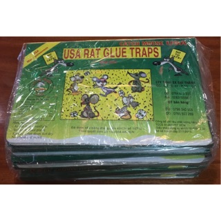 10 miếng Keo dính chuột, bẫy chuột