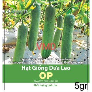 Hạt giống dưa leo op