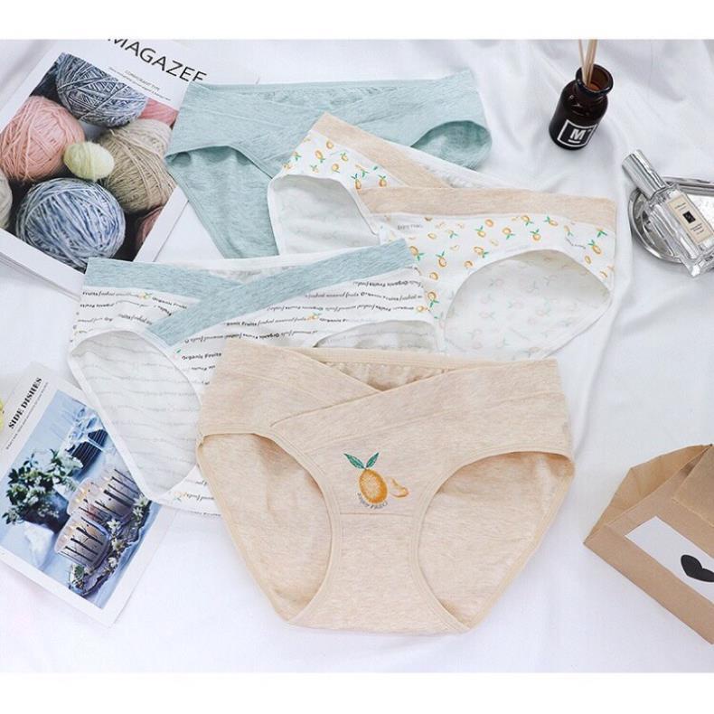 Sét 4 Quần Lót Bầu Cotton Cao Cấp Túi Zíp 20020