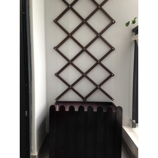 Giàn Leo Trồng Hoa Ban Công