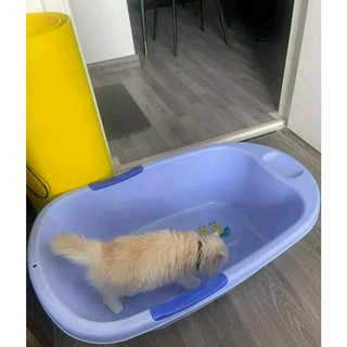 Chậu tắm Duy Tân nhiều màu ( Thau tắm cho bé )