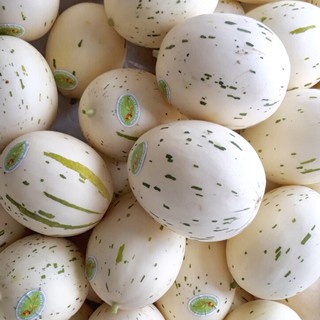 Hạt Giống Dưa Lê Ánh Sao ( Dưa Lê Sữa Hàn Quốc) 5 Hạt