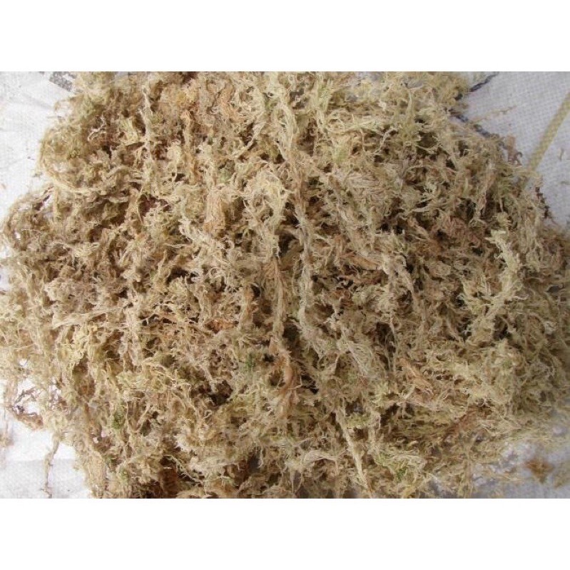 ☘ Tảo nén / giá thể trồng lan gói 140 gr (tảo khô)