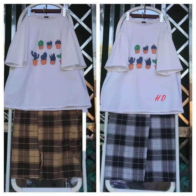 Sét 7 chậu sương rồng tici + quần kẻ HDP876