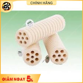Sứ Thanh Củ Sen Lotus Root Bacteria House Mountain Tree I