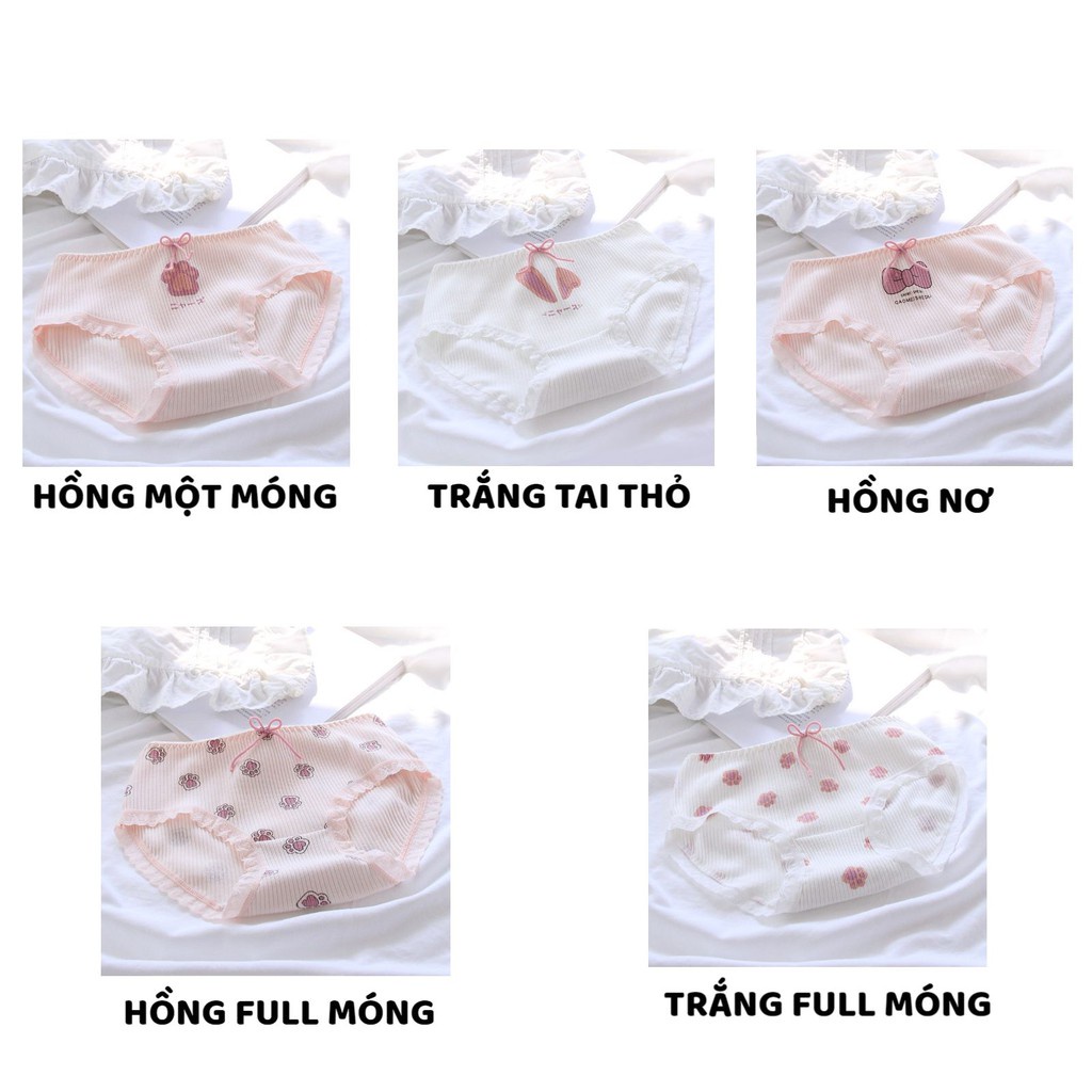 Quần Lót nữ Cotton gân tăm dễ thương cao cấp thoáng mát kháng khuẩn mẫu 3125